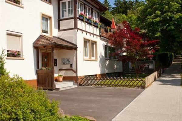 فندق باد درهيمفي  Albert Schweitzer Haus المظهر الخارجي الصورة